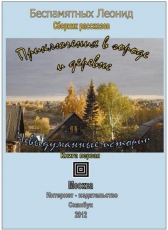 Беспамятных Леонид «Приключения в городе и деревне. Невыдуманные истории - книга 1»