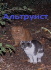 Любовь Бурель «Альтруист»