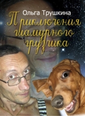 Ольга Трушкина «Приключения гламурного грузчика»