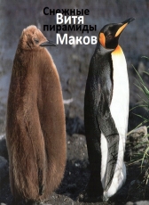 Витя Маков «Снежные пирамиды (сборник)»