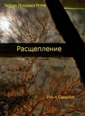 Илья Соколов «Расщепление»