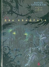 Юрий Бурносов «Числа и знаки-1. Два квадрата»