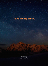 Valery Bulygin «Contiguity»