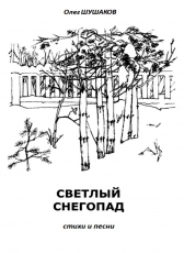 Олег Шушаков «Светлый снегопад»