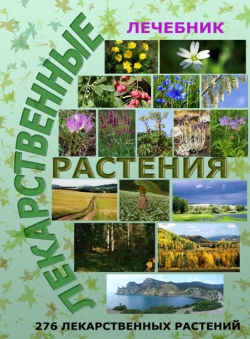 Анатолий Павленко «Лечебник. Лекарственные растения. Практическое пособие»